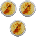 Stephanie Imports Set of 3 Double Sided Magnifying Round Compact Mirrors with Printed Insert (Gatsby Sun Hat)