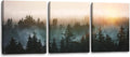 Forest Bathed in Sunlight Canvas Print Picture Painting Wall Art for Bedroom Living Room Framed 3 Piece Artwork Wall Decor for Bathroom Modern Room Plants Wall Decorations Size 12x16x3 Ready to Hang