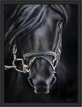 Kate and Laurel Framed Wall Art Print Ebony Splendor by Mary Sparrow, 33 x 43, Oliver Black Narrow Frame, Traditional, Animal Art for Wall Decor
