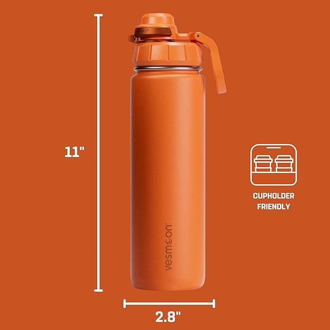 Vesmoon Vessence 24 Oz Stainless Steel Tea Infuser Bottle for Loose Leaf Tea, Water, Herbs, Fruits - Triple Layered Insulated, Leak Proof Bottle with Lid and Clip Handle - 24 Hours Hot/Cold