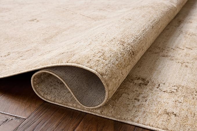Loloi Chris Loves Julia Palma Collection PLM-06 Natural/Smoke 2'-3" x 3'-10" Fringe Accent Rug Vintage Style Boho Living Room Bedroom Carpet