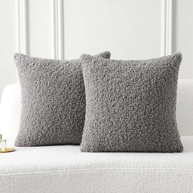 FUTEI Dark Grey Throw Pillow Covers 16x16 Inch Set of 2,Furry Faux Fur Teddy Boucle Textured Cushion Covers,Soft Fluffy Decorative Pillow Case,Home Decor for Couch Bed Living Room Office Car
