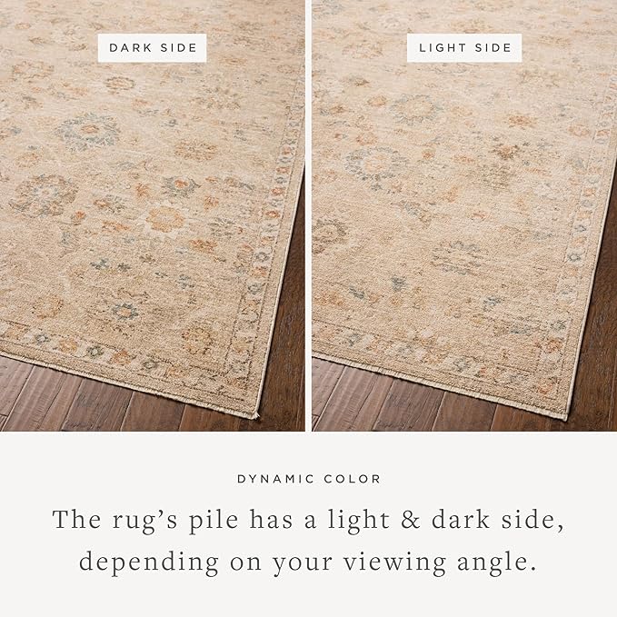 Loloi Chris Loves Julia Palma Collection PLM-11 Natural/Multi 3'-6" x 5'-6" Fringe Accent Rug Vintage Style Boho Living Room Bedroom Carpet