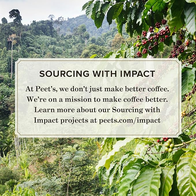 Peet's Coffee, Flavored Light Roast Keurig K-Cup Pods - Hazelnut Mocha 60 Count (6 Boxes of 10 K-Cup Pods)